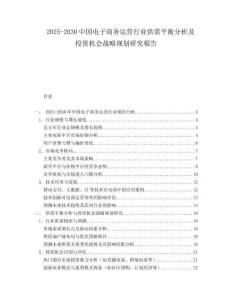 2025-2030中國電子商務運營行業供需平衡分析及投資機會戰略規劃研究報告