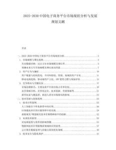2025-2030中國電子商務平臺市場現狀分析與發展規劃文獻