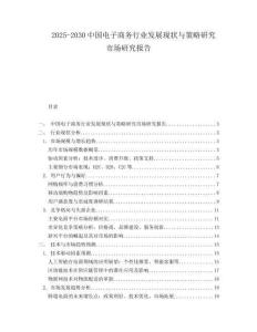 2025-2030中國電子商務行業發展現狀與策略研究市場研究報告