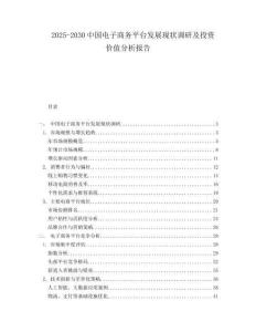 2025-2030中國電子商務平臺發展現狀調研及投資價值分析報告