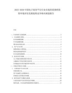2025-2030中國電子商務平臺行業市場供需調研投資環境評估發展趨勢競爭格局規劃報告