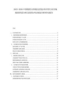 2025-2030中國(guó)廢鋁太陽(yáng)能光伏技術(shù)應(yīng)用行業(yè)市場(chǎng)現(xiàn)狀供需分析及投資評(píng)估規(guī)劃分析研究報(bào)告