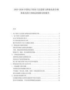 2025-2030中國電子商務(wù)立法進(jìn)展與跨境電商合規(guī)體系及的主體權(quán)益保障分析報(bào)告