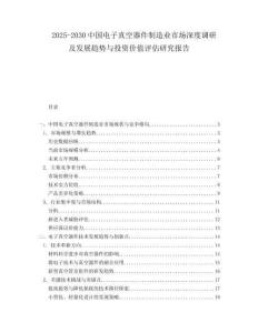 2025-2030中國電子真空器件制造業市場深度調研及發展趨勢與投資價值評估研究報告
