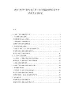 2025-2030中國電子商務行業市場需求供給分析評估投資規劃研究