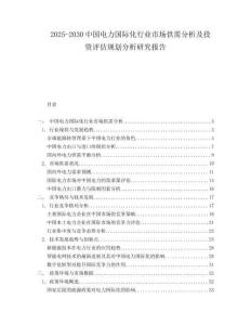 2025-2030中國電力國際化行業市場供需分析及投資評估規劃分析研究報告