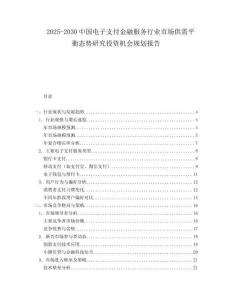 2025-2030中國電子支付金融服務行業市場供需平衡態勢研究投資機會規劃報告