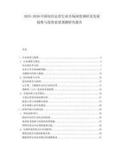 2025-2030中國電信運營行業市場深度調研及發展趨勢與投資前景預測研究報告