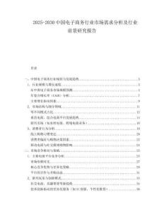 2025-2030中國電子商務行業市場需求分析及行業前景研究報告