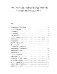 2025-2030中國電子商務運營市場發展現狀競爭格局創新投資評估商業規劃企業報告