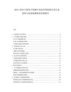 2025-2030中國電子檢測行業技術革新探討及行業前景與質量檢測體系發展報告