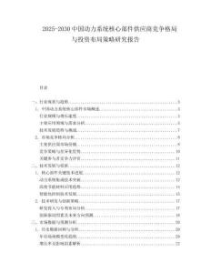 2025-2030中國動力系統(tǒng)核心部件供應(yīng)商競爭格局與投資布局策略研究報告