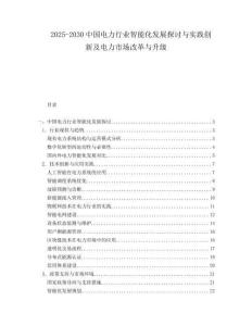 2025-2030中國(guó)電力行業(yè)智能化發(fā)展探討與實(shí)踐創(chuàng)新及電力市場(chǎng)改革與升級(jí)