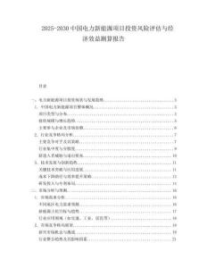 2025-2030中國電力新能源項目投資風險評估與經(jīng)濟效益測算報告