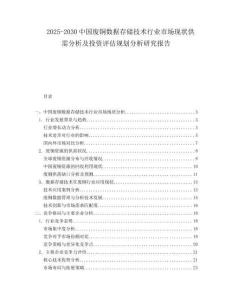 2025-2030中國廢銅數據存儲技術行業市場現狀供需分析及投資評估規劃分析研究報告