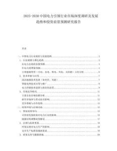 2025-2030中國電力引領行業市場深度調研及發展趨勢和投資前景預測研究報告