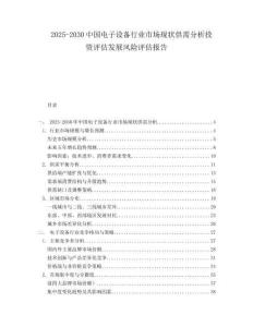 2025-2030中國電子設備行業市場現狀供需分析投資評估發展風險評估報告