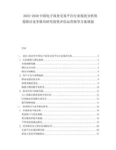 2025-2030中國(guó)電子商務(wù)交易平臺(tái)行業(yè)現(xiàn)狀分析供需探討競(jìng)爭(zhēng)格局研究投資評(píng)估運(yùn)營(yíng)指導(dǎo)方案規(guī)劃