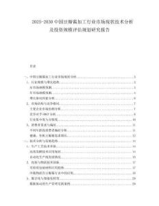 2025-2030中國豆瓣醬加工行業市場現狀技術分析及投資規模評估規劃研究報告