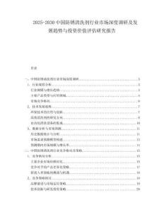 2025-2030中國防銹清洗劑行業市場深度調研及發展趨勢與投資價值評估研究報告