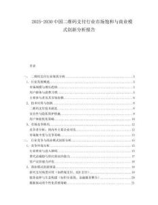 2025-2030中國二維碼支付行業市場飽和與商業模式創新分析報告