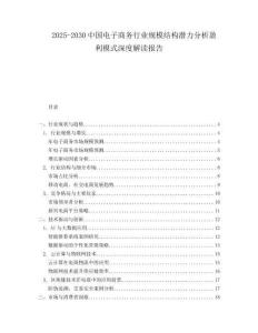 2025-2030中國電子商務行業(yè)規(guī)模結(jié)構潛力分析盈利模式深度解讀報告