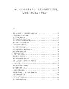 2025-2030中國電子商務行業市場供需平衡現狀及投資推廣策略規劃分析報告