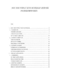 2025-2030中國電子支付行業市場動態與投資風險評估規劃講解研究報告