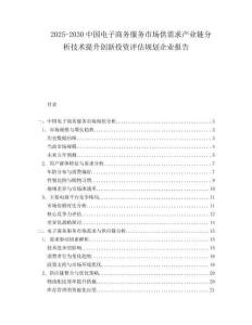 2025-2030中國電子商務服務市場供需求產業鏈分析技術提升創新投資評估規劃企業報告