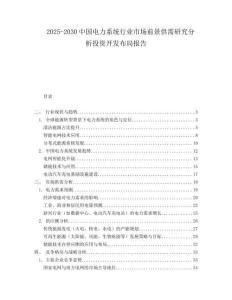 2025-2030中國電力系統(tǒng)行業(yè)市場前景供需研究分析投資開發(fā)布局報(bào)告