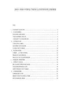 2025-2030中國電子商務人才培育培養方案規劃