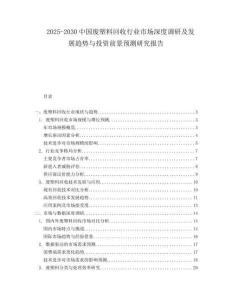 2025-2030中國廢塑料回收行業(yè)市場深度調(diào)研及發(fā)展趨勢與投資前景預測研究報告