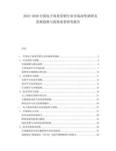 2025-2030中國電子商務營銷行業(yè)市場深度調(diào)研及發(fā)展趨勢與投資前景研究報告