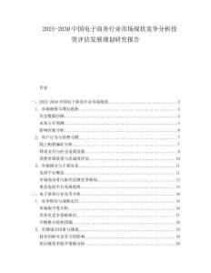 2025-2030中國電子商務行業市場現狀競爭分析投資評估發展規劃研究報告