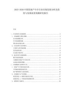 2025-2030中國房地產中介行業市場發展分析及投資與發展前景預測研究報告