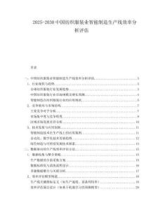2025-2030中國紡織服裝業智能制造生產線效率分析評估