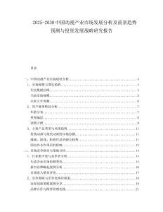 2025-2030中國動漫產業市場發展分析及前景趨勢預測與投資發展戰略研究報告