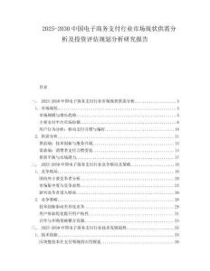 2025-2030中國電子商務支付行業市場現狀供需分析及投資評估規劃分析研究報告