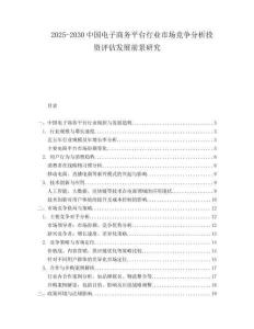 2025-2030中國電子商務平臺行業市場競爭分析投資評估發展前景研究