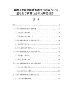 2026-2030中國堵塞溜槽探測器行業發展趨勢與前景動態預測研究報告