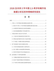 2026及未來5年中國23-苯并呋喃市場數(shù)據(jù)分析及競爭策略研究報(bào)告
