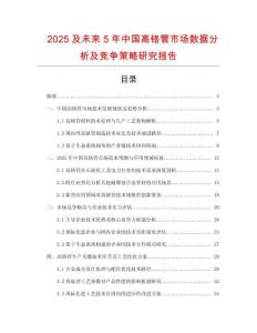 2025及未來5年中國高鉻管市場(chǎng)數(shù)據(jù)分析及競(jìng)爭(zhēng)策略研究報(bào)告