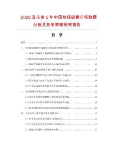 2026及未來5年中國槍硅碳棒市場(chǎng)數(shù)據(jù)分析及競(jìng)爭(zhēng)策略研究報(bào)告