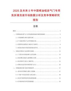2025及未來5年中國噴油咀進氣門專用免拆清洗液市場數(shù)據(jù)分析及競爭策略研究報告