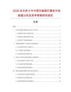 2026及未來5年中國無碳刷打磨機市場數(shù)據(jù)分析及競爭策略研究報告