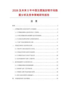 2026及未來5年中國注塑施封鎖市場數(shù)據(jù)分析及競爭策略研究報告