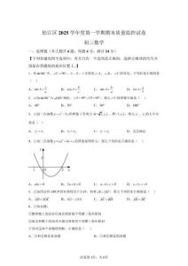 2026年上海松江區(qū)九年級期末中考一模數(shù)學試卷（含答案詳解）
