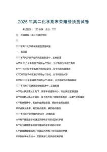 2025年高二化學期末榮耀登頂測試卷