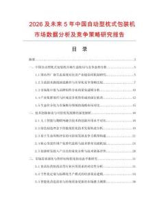 2026及未來5年中國自動型枕式包裝機市場數據分析及競爭策略研究報告