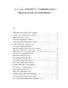 2025-2030中國教育數字化平臺建設規劃與教育公平化發展推進及商業化可行性分析報告
